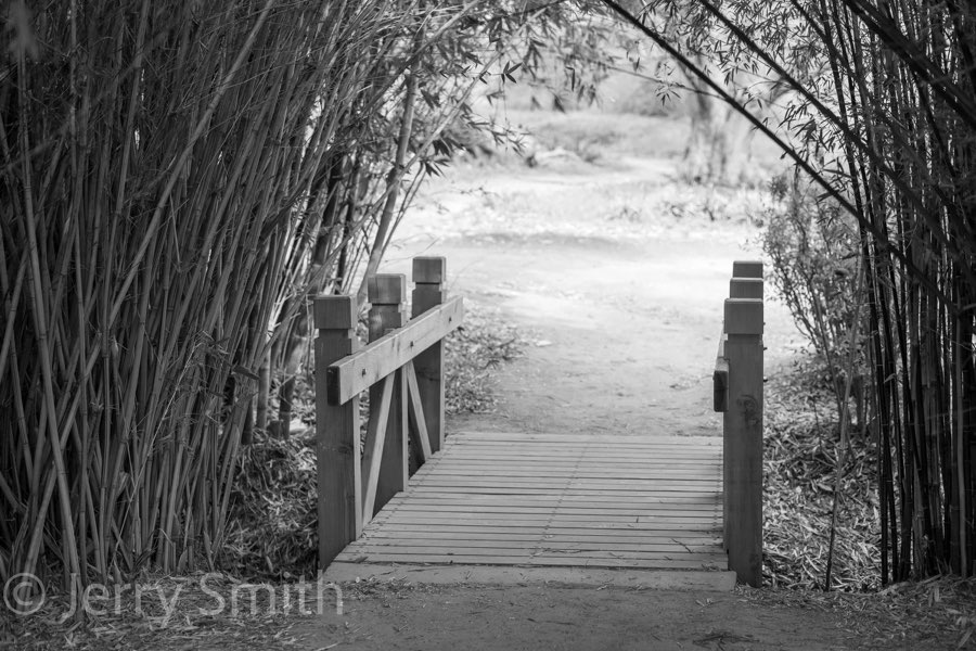 Zen Passage, the original photograph of a bamboo footbridge.