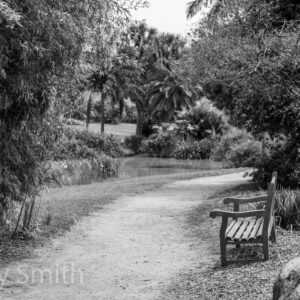 The Quiet Path (black and white print)