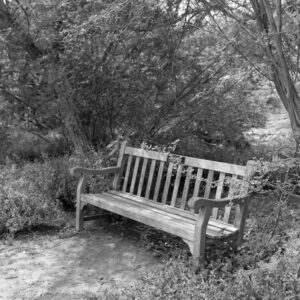 Weathered Silence (black and white print)