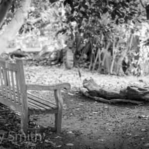 Midday Rest (black and white print)