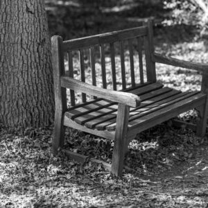 Bench Under The Tree (black and white print)