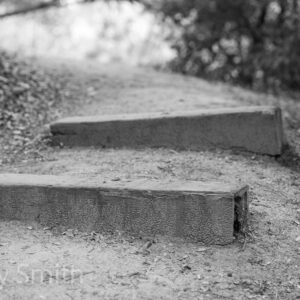 The Stepped Path (black and white print)