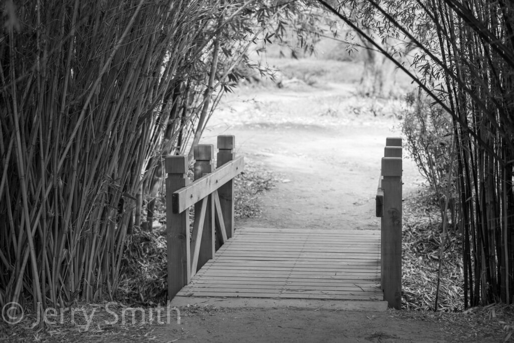 Zen Passage