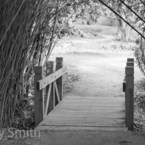Zen Passage (black and white print)